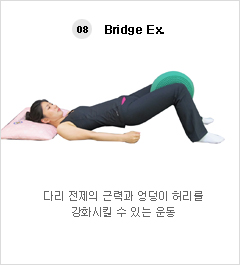 08. Bridge Ex.